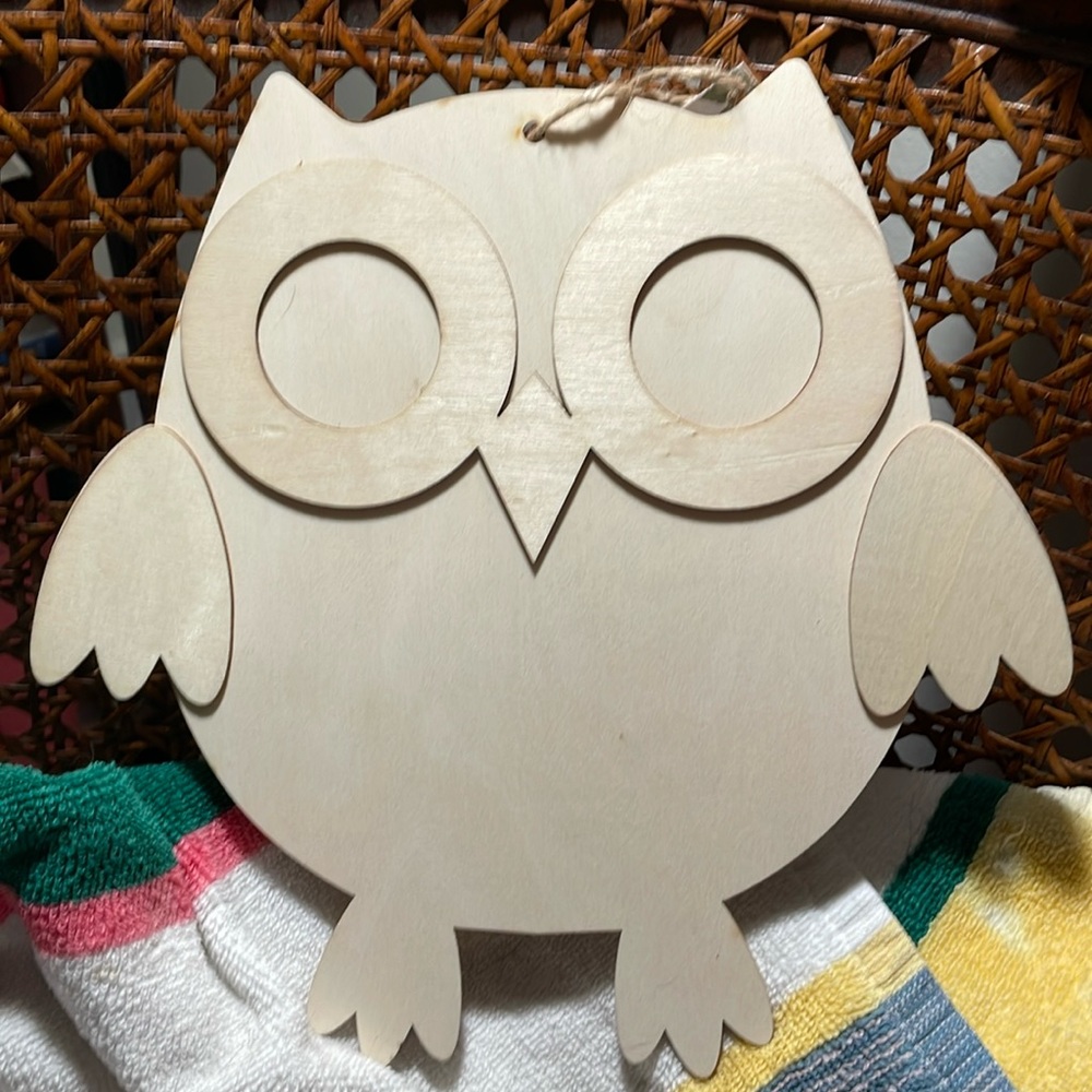 ☘️$15Bundle Owl New wood Crafting decor- ready to paint or decorate!